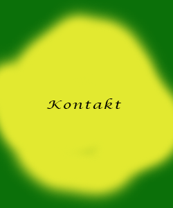 Kontakt